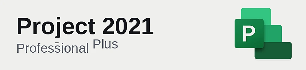 Project 2021 Professional Plus