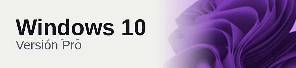 Windows 10 Pro