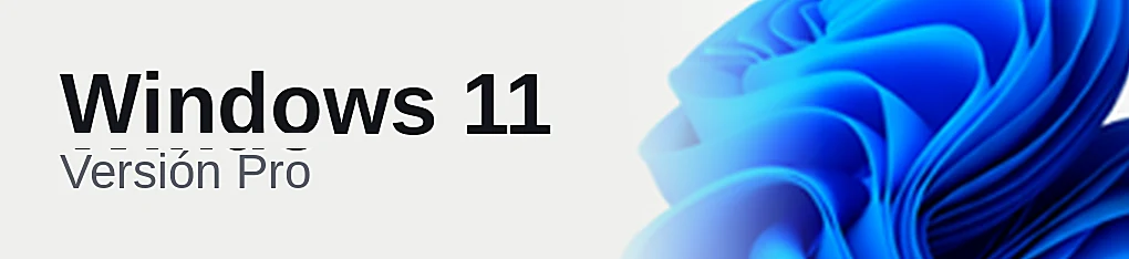 Windows 11 Pro